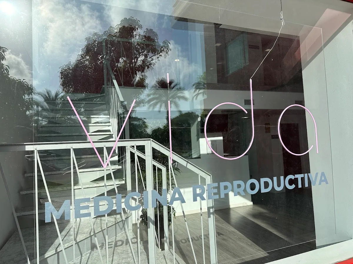 Ginemed Murcia — photo 2