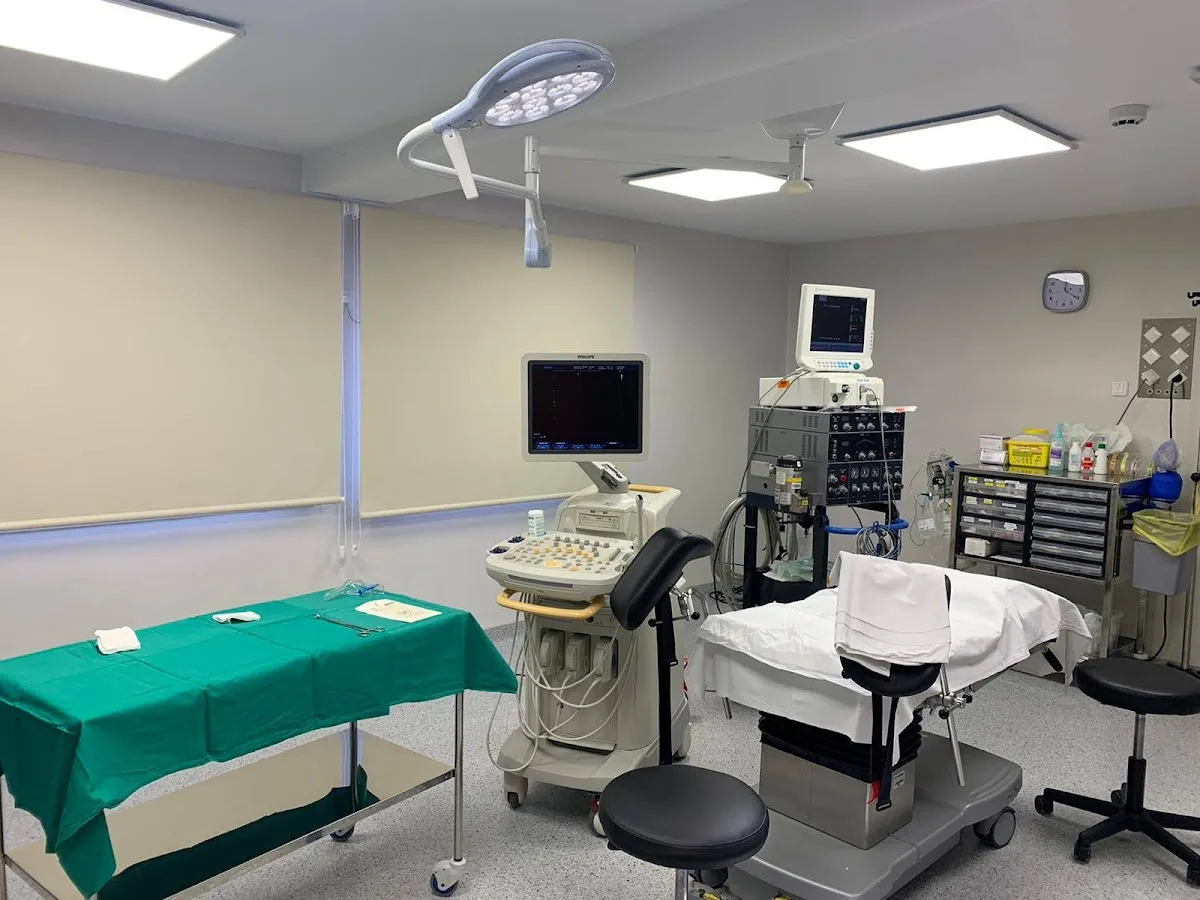 Ginemed Valencia — photo 2