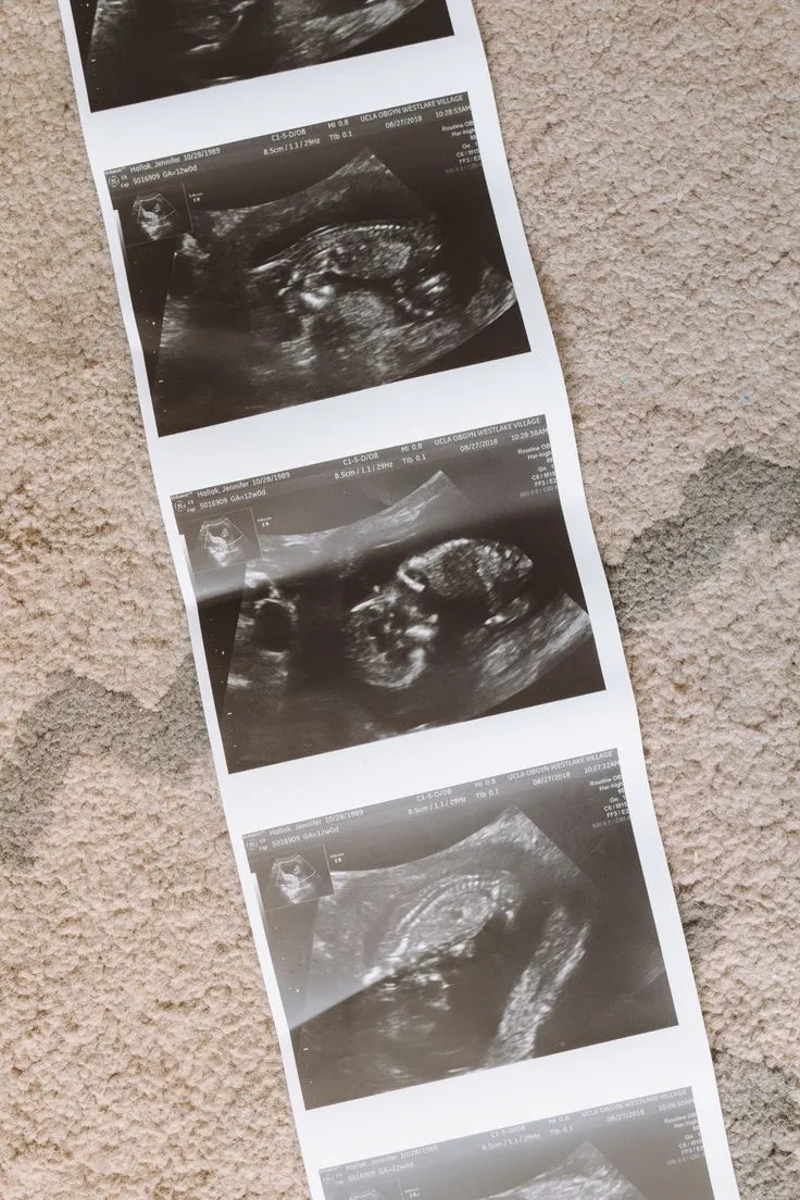 HermanFamily fertility &amp; law — photo 4