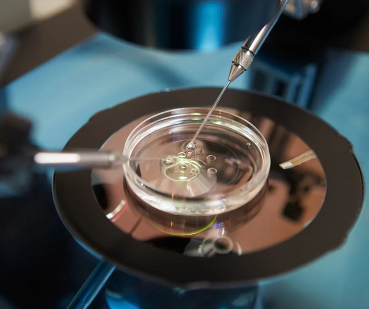 Hull &amp; East Riding Fertility — photo 3