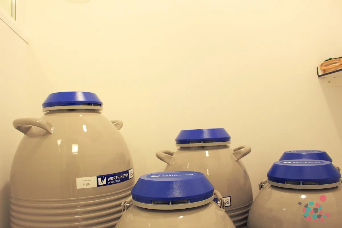 IERA - Lisboa — photo 4