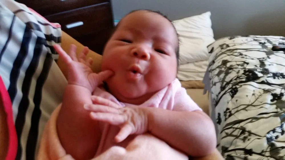 IVF Hawaii — photo 3