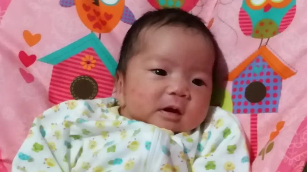 IVF Hawaii — photo 4