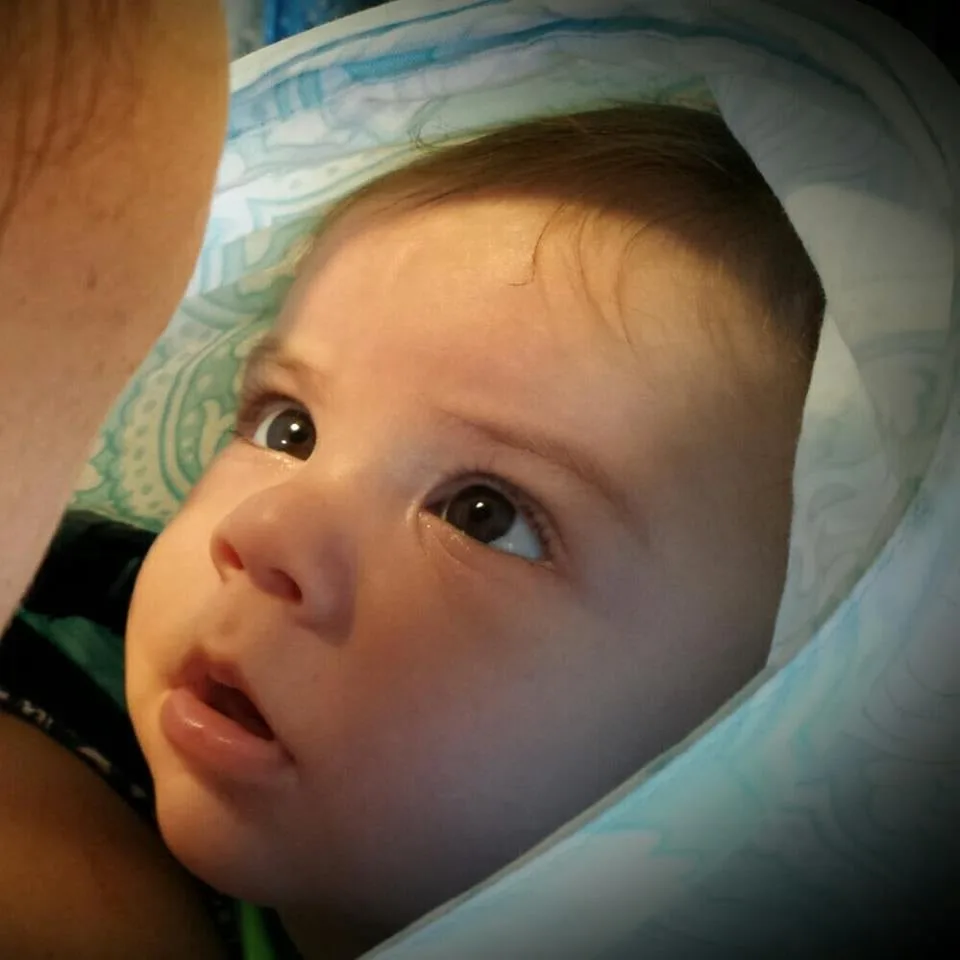 IVF Hawaii — photo 5