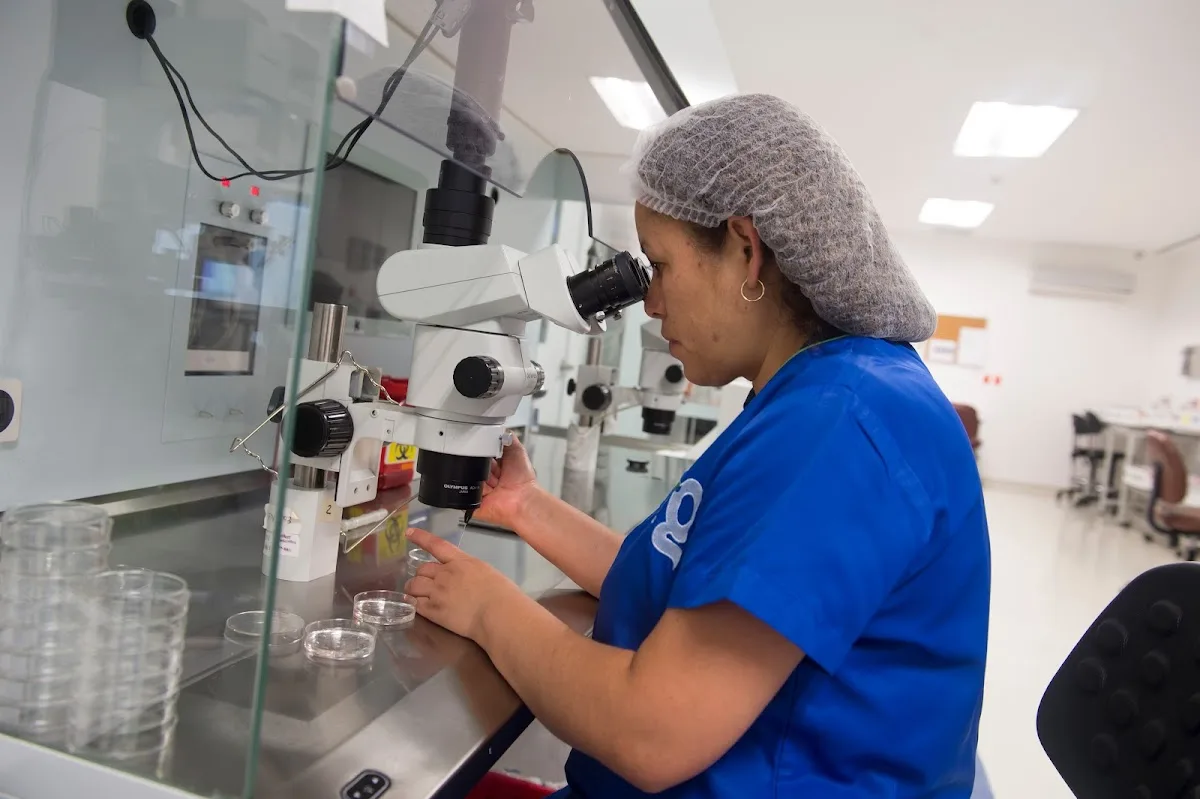 Ingenes Mérida — photo 2