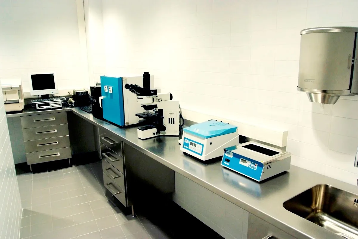 Instituto Bernabeu Albacete — photo 5