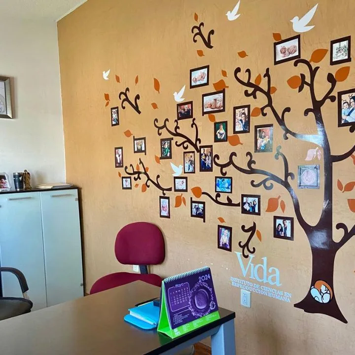 Instituto de Ciencias en Reproducción Humana Vida — photo 4