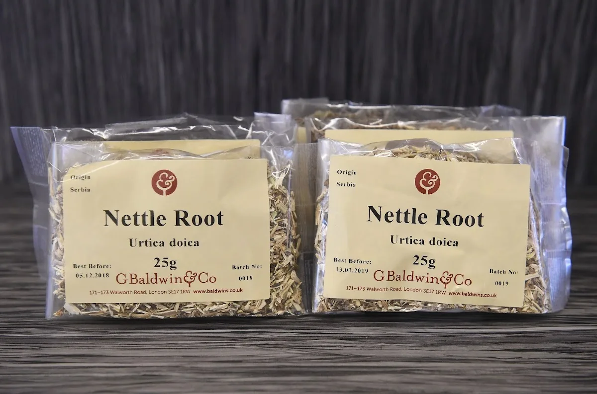 Logan Wellbeing — photo 5