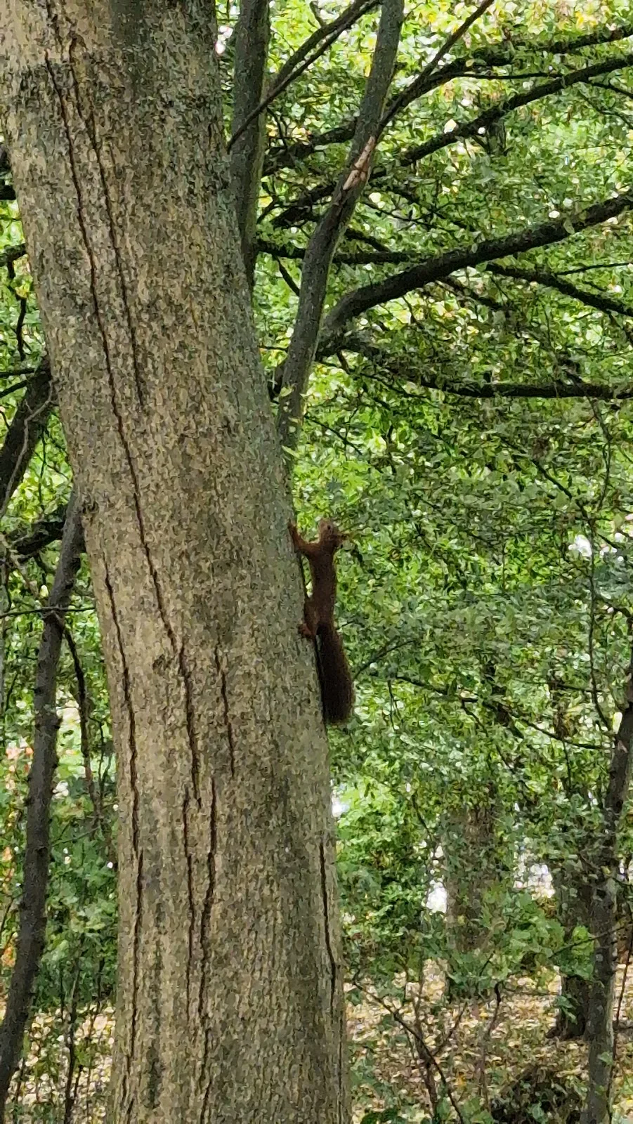 Lunds IVF Center — photo 4