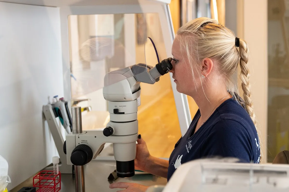 Maigaard Fertilitetsklinik - Aarhus — photo 5