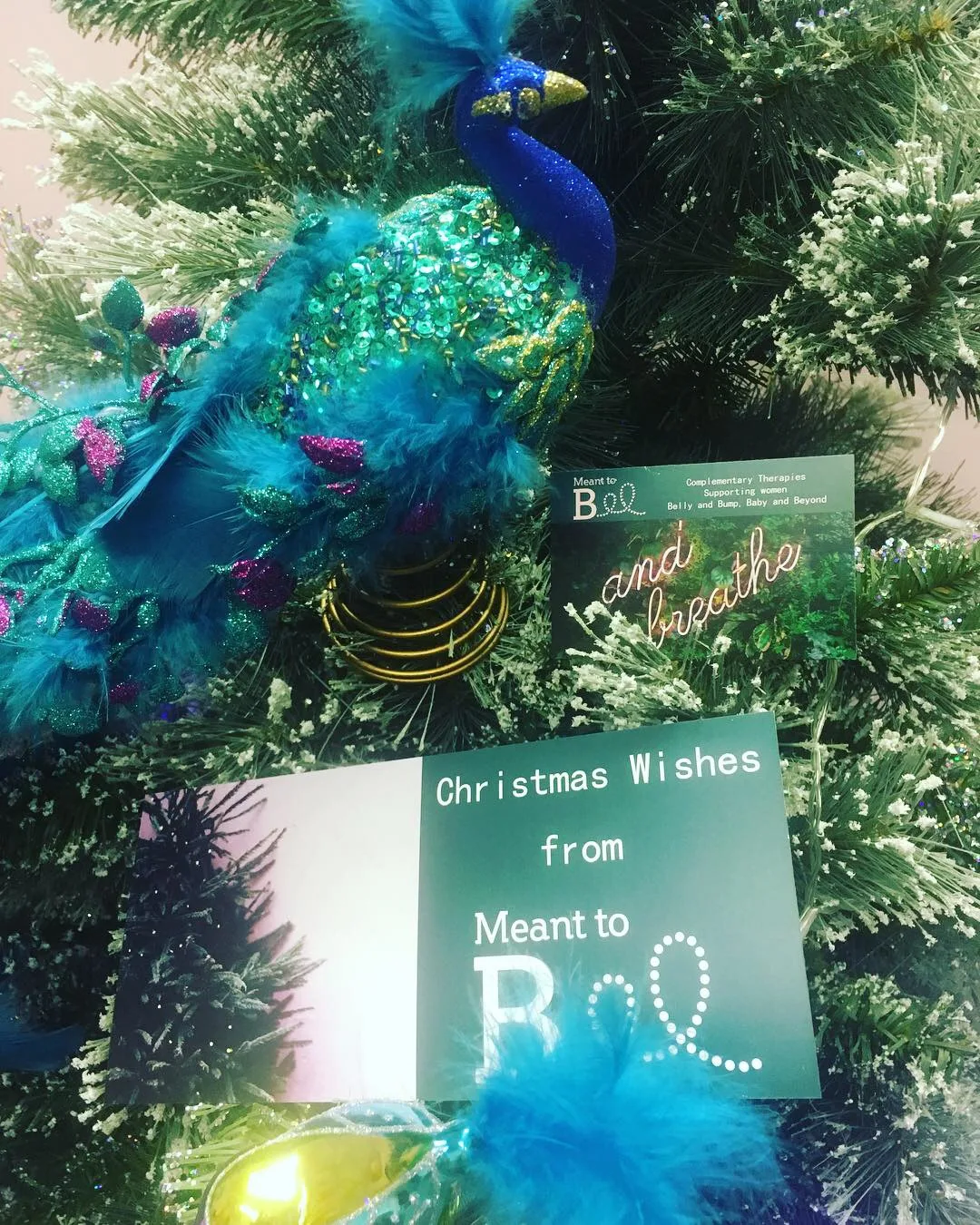 Meant to Bee Therapies — photo 2