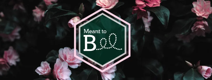 Meant to Bee Therapies