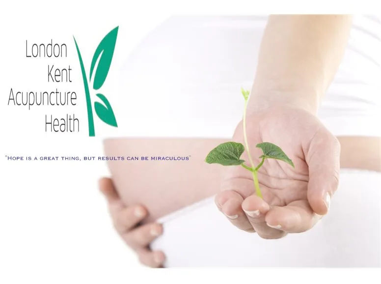 Michelle Mulliss Natural Women’s Health Clinic — photo 3