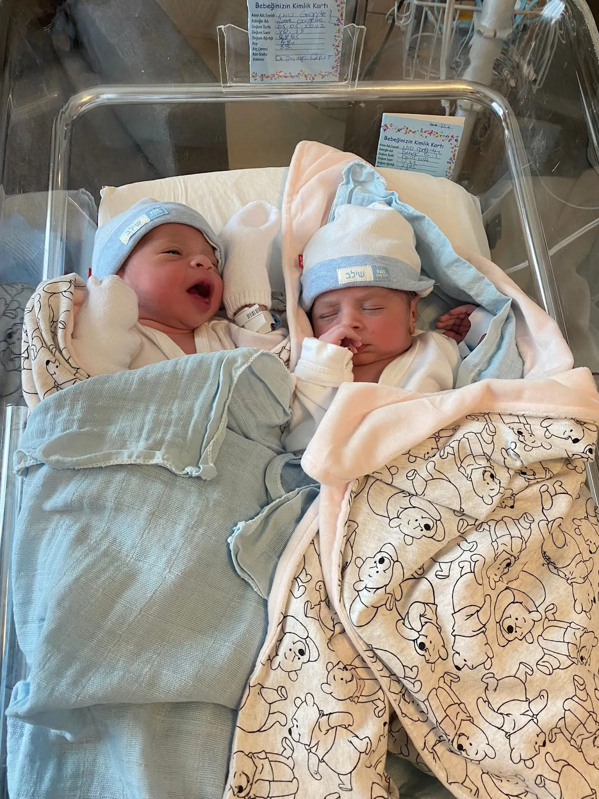 Miracle Baby Surrogacy | Surrogacy in Georgia — photo 5