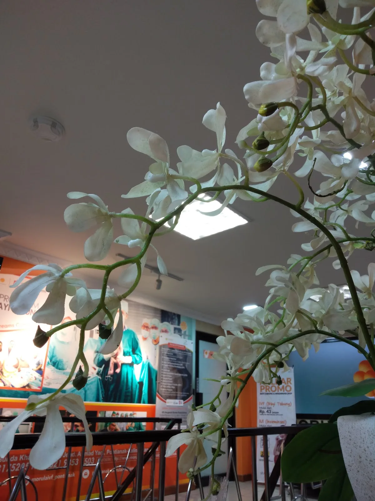 Morula IVF Pontianak — photo 2