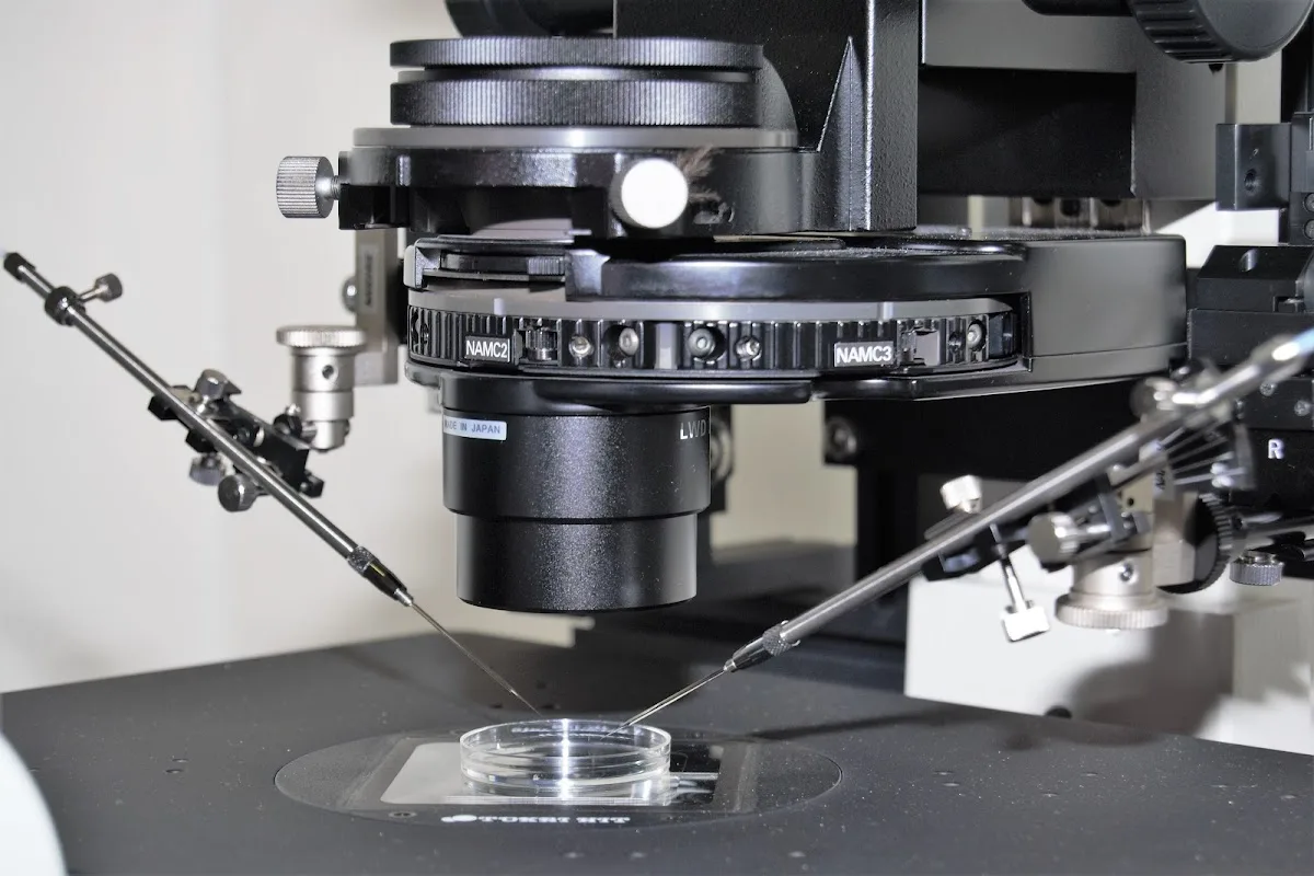 NOVA FIV Fertility Centre Clínica de Reproducción Asistida en Jerez — photo 4