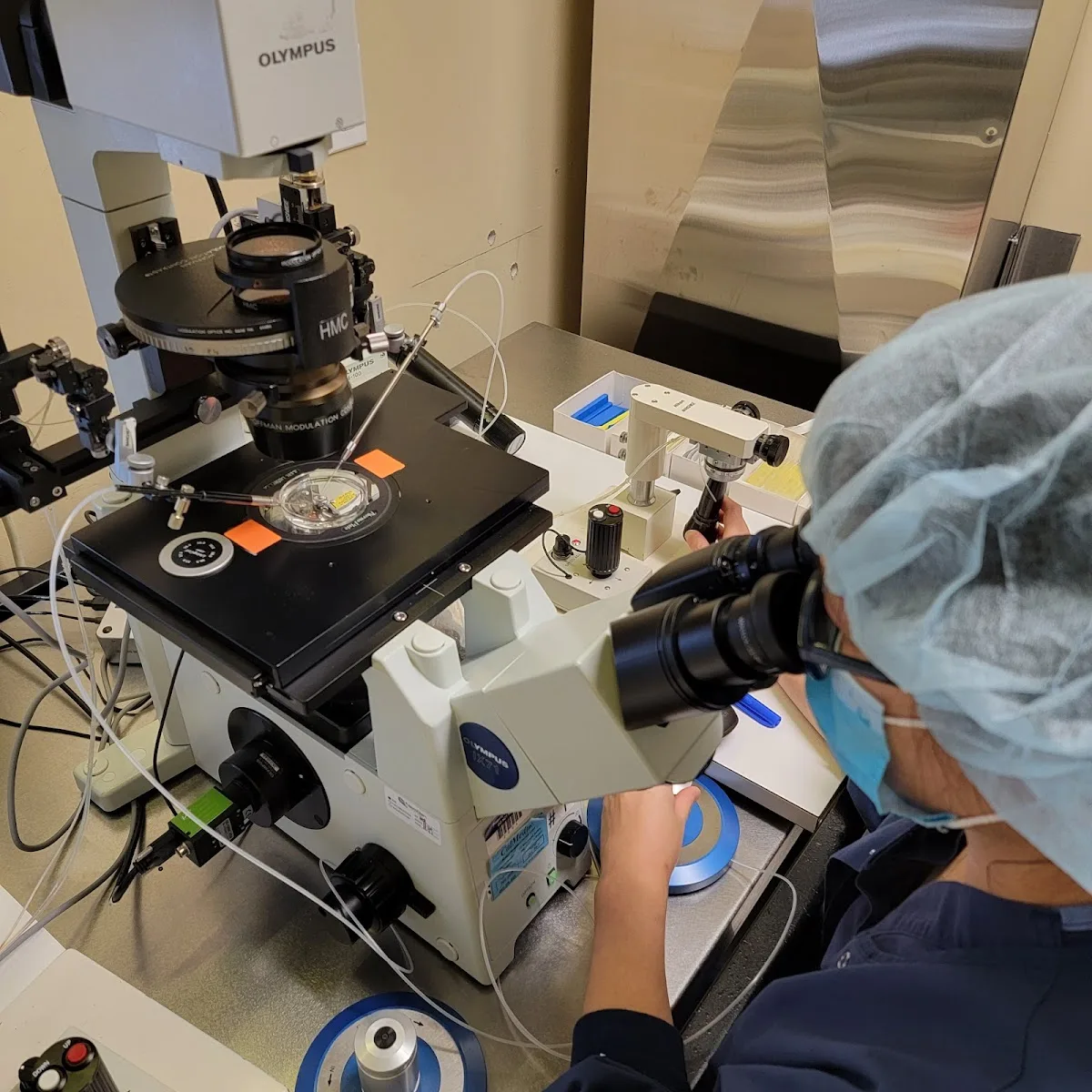 New England Fertility Institute — photo 2