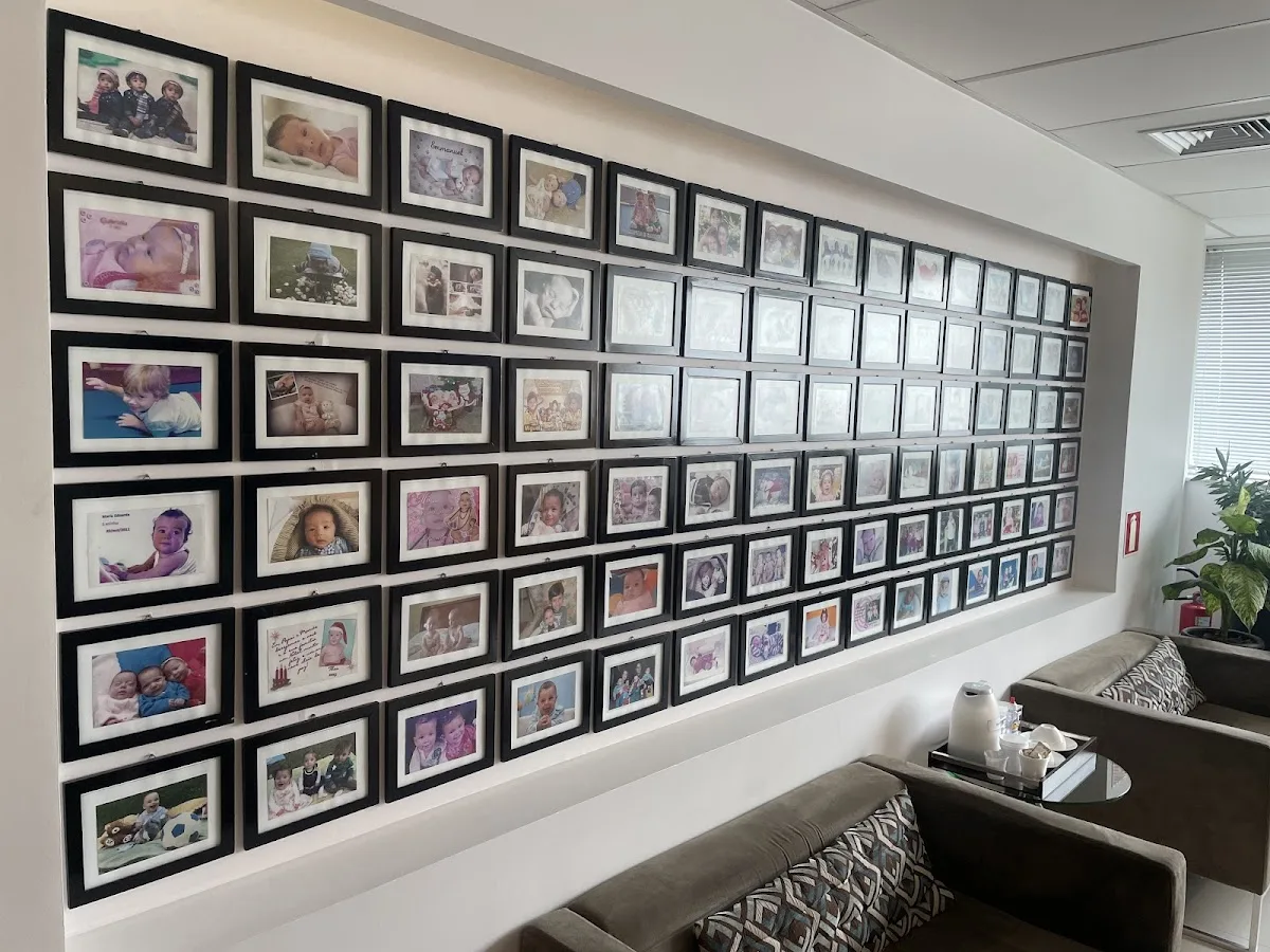 Nidus Medicina Reprodutiva — photo 3