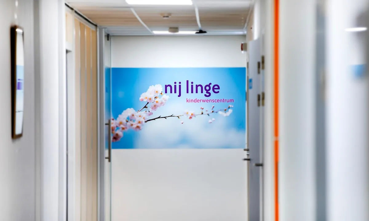 Nij Linge — photo 3