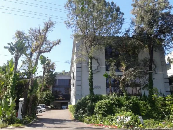 OM Fertility — photo 5