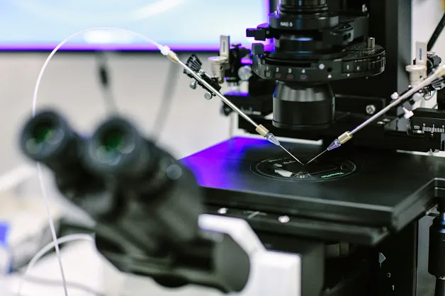 Olive Fertility Centre Vancouver — photo 4