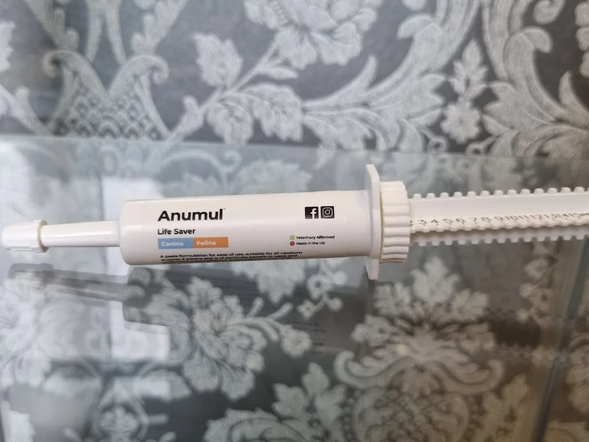 Pet-Ultrasound Scanning and Canine Fertility Clinic — photo 3