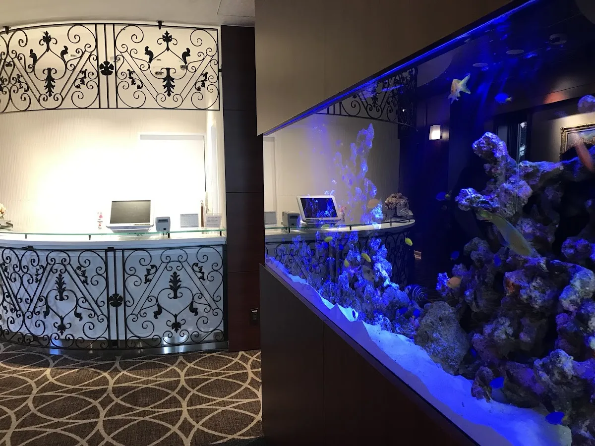 Phoenix Art Clinic — photo 3