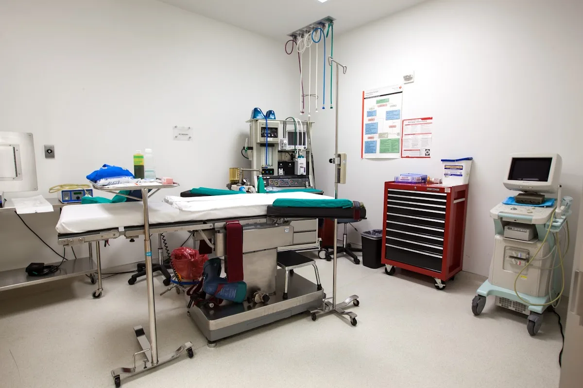 Santa Monica Fertility — photo 4