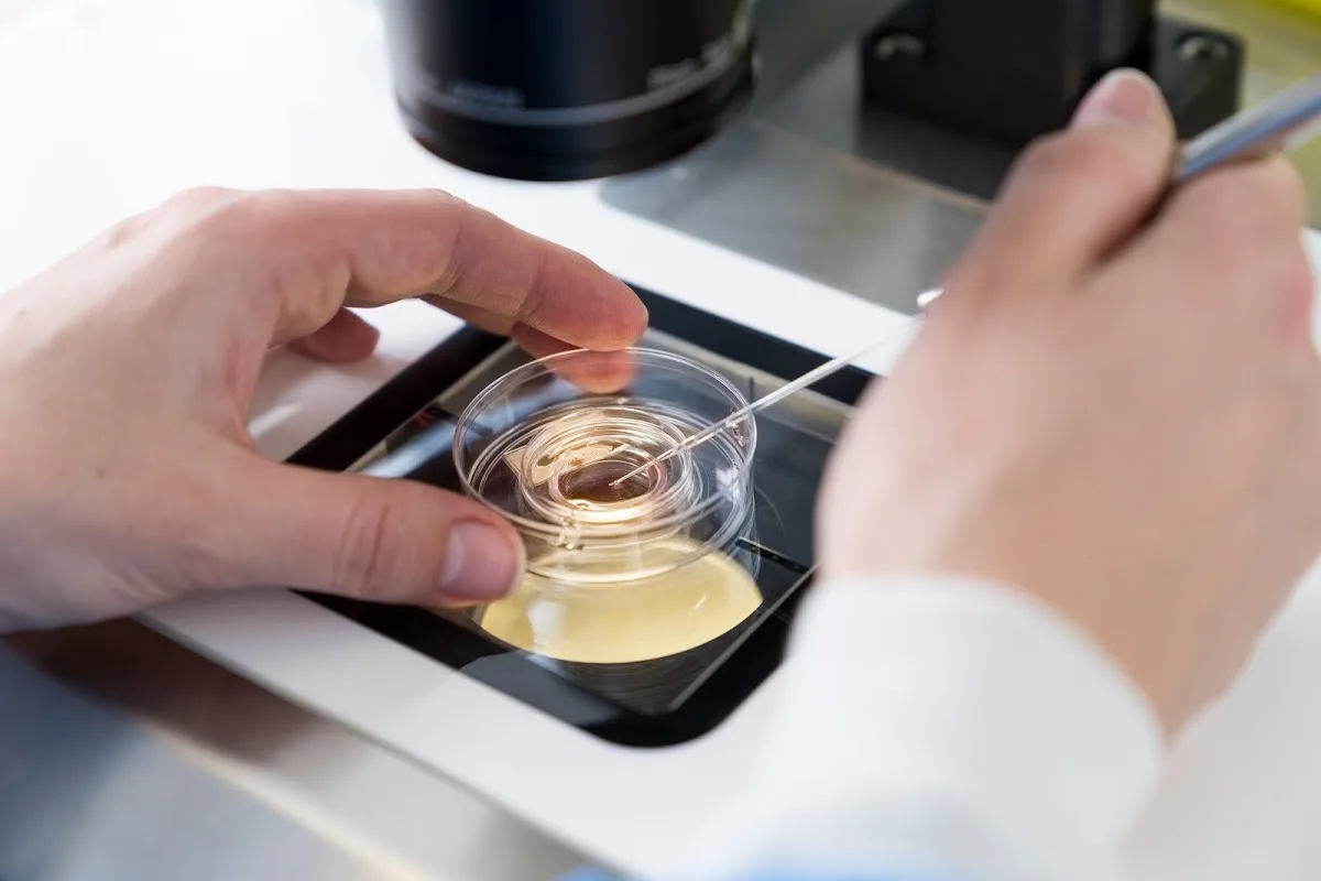 Sims IVF Swords — photo 5