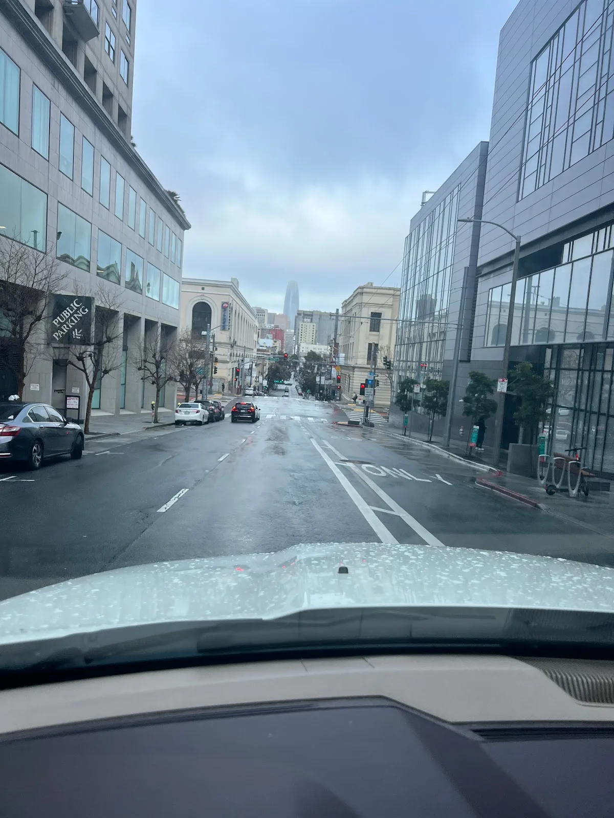 Spring Fertility — photo 2