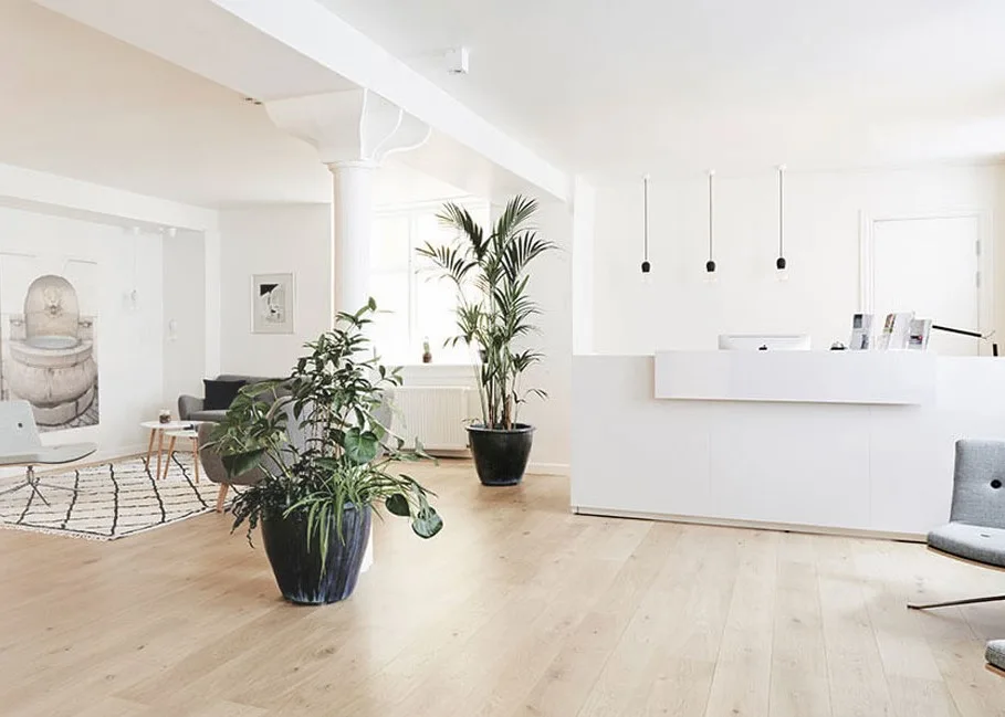 TFP Fertility Denmark - BLIV ÆGDONOR — photo 2