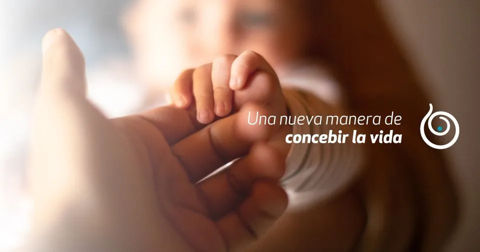 The Fertile Group — photo 2