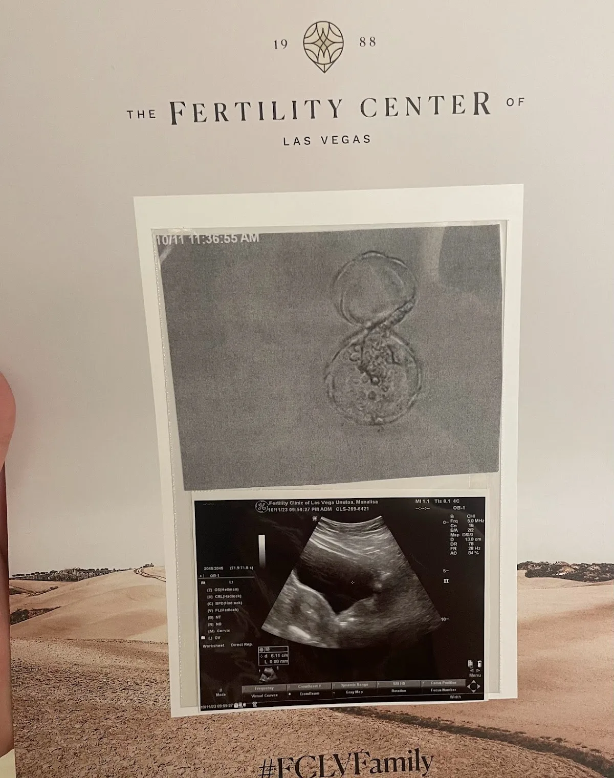 The Fertility Center of Las Vegas — photo 5