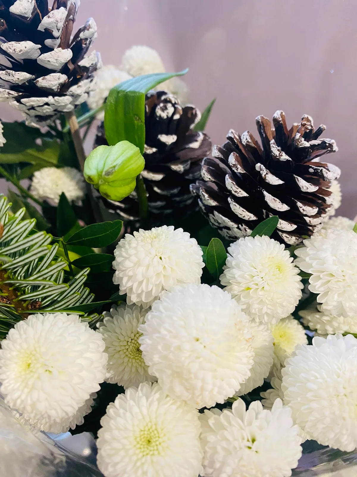 The Hewitt Fertility Centre