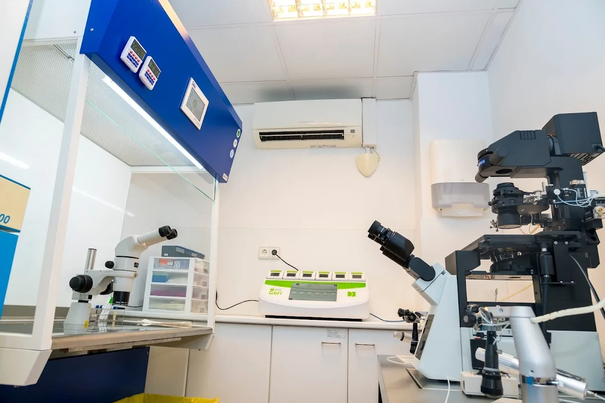 UR FIVLLEIDA — photo 2