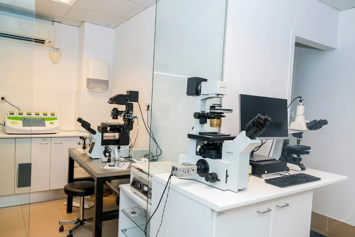 UR FIVLLEIDA — photo 4