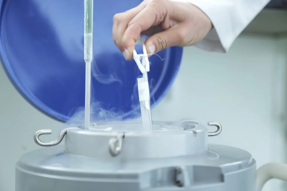 Vida Fértil- Banco de sêmen — photo 3