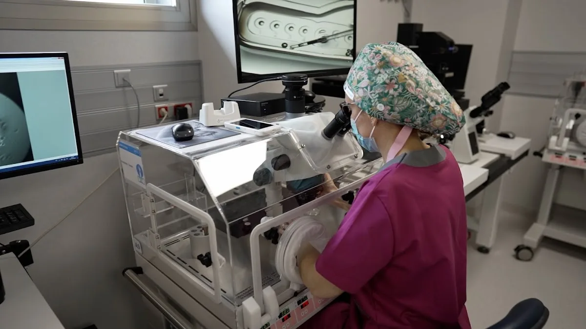 Vida Medicina Reproductiva Sevilla — photo 2