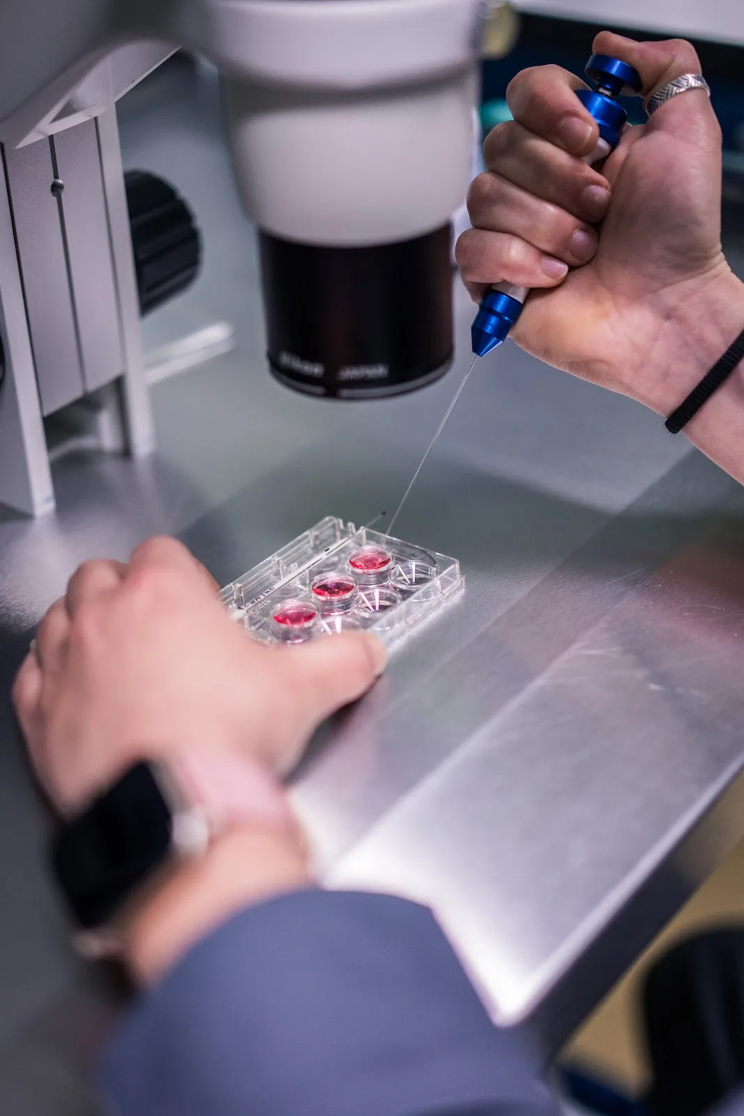 Vida Recoletas — photo 2