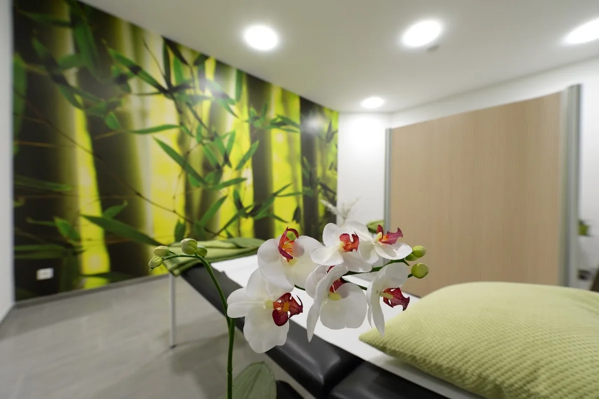 Vitro-Med Kinderwunschzentrum — photo 5