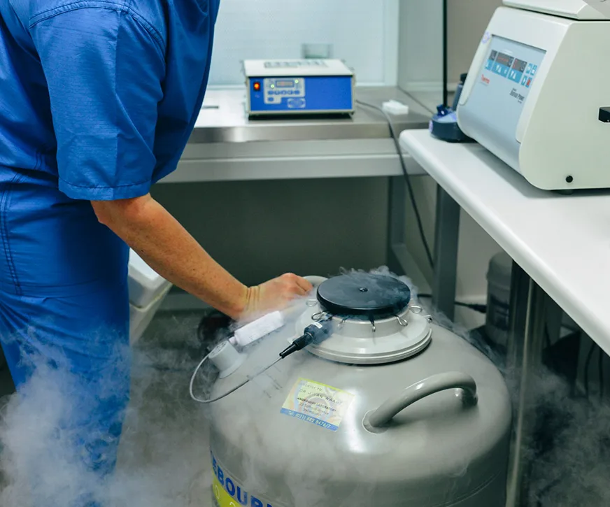 Wijnland Fertility Clinic in Cape Town, South Africa — photo 2