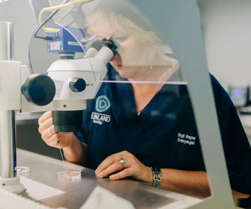 Wijnland Fertility Clinic in Cape Town, South Africa — photo 3