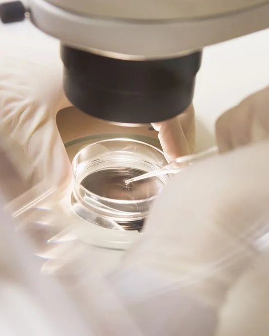 Arizona Associates for Reproductive Health — photo 5