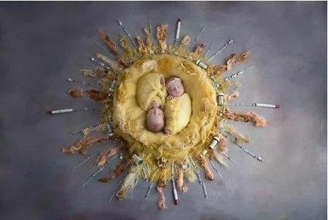 Arizona Associates for Reproductive Health — photo 4