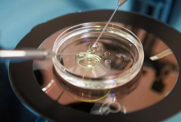 CFA Napoli - Centro Fecondazione Assistita — photo 5