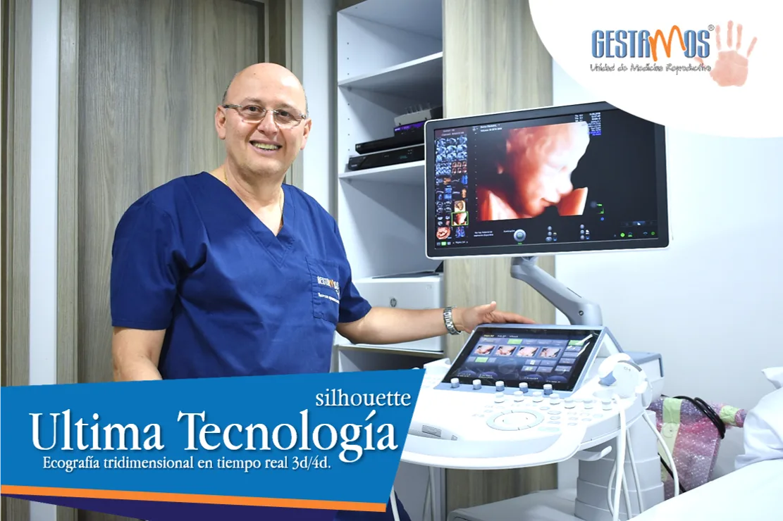 Gestamos unidad reproductiva