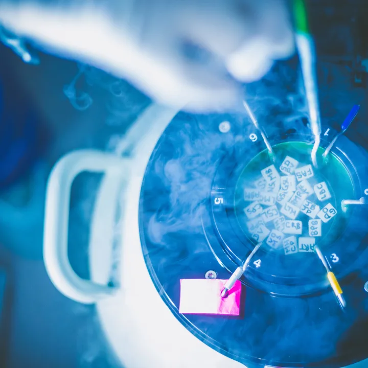 Nilo Frantz - Medicina Reprodutiva - Unidade Porto Alegre — photo 4