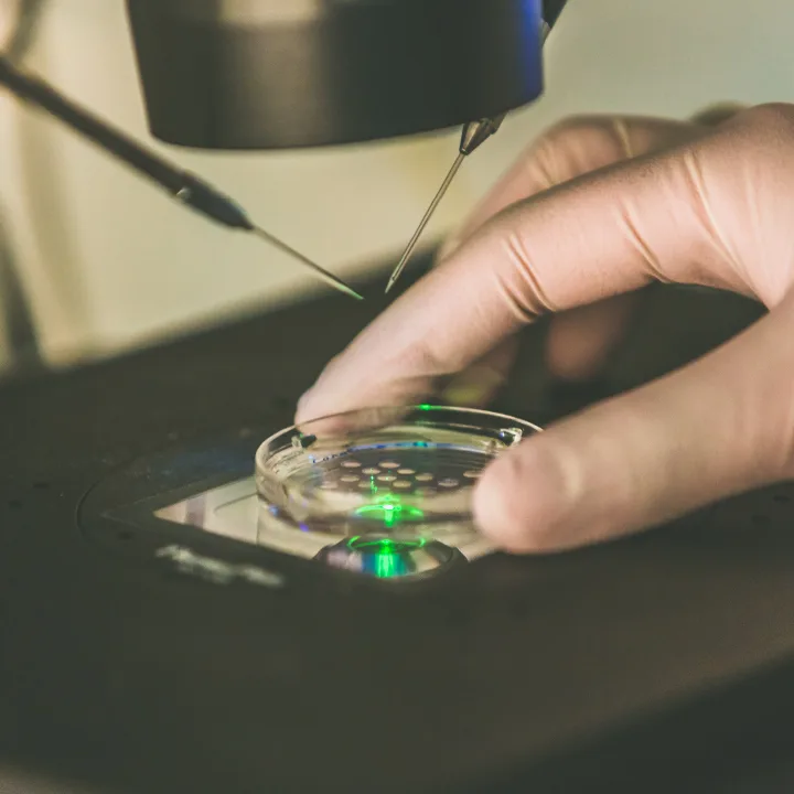 Nilo Frantz - Medicina Reprodutiva - Unidade Porto Alegre — photo 5