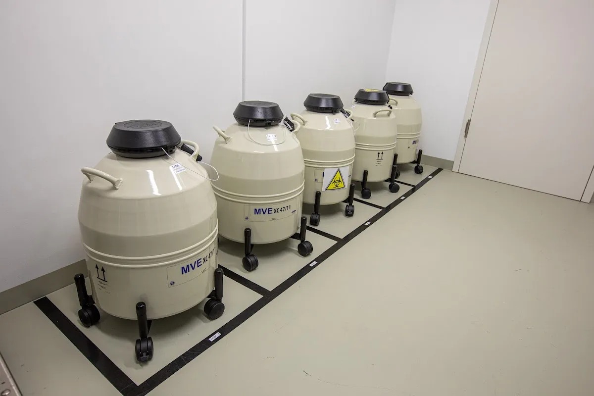 Praxis-Klinik Dr. med. Swetlana Hoffmann, Dr. med. Ulrike Bergmann-Hensel, Dr. med. Dagmar Geiß, FÄ für Reproduktionsmedizin — photo 2