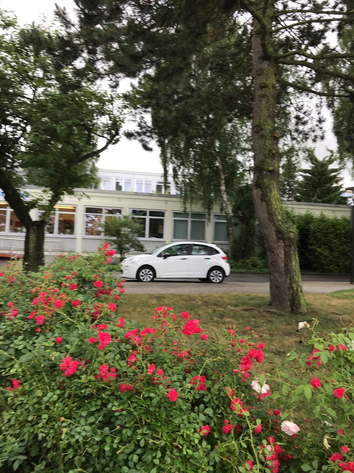 Fertility Center Rostock GmbH — photo 4